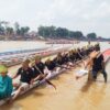 Pacu Jalur di Kab. Kuansing Sudah Menjadi Tradisi dari Zaman Nenek Moyang Terdahulu