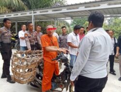 Rekonstruksi Pembunuhan Sadis di Kuansing,Kuasa Hukum :30 Adengan Terungkap Pelaku Pembunuhan Berencana.
