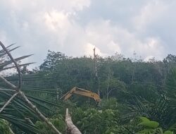 Lapor pak Kapolres Kuansing !!! Warga Sebut Aktivitas Galian c Di Desa Pulau Sipan