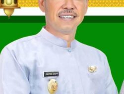 Tahun Politik Memanas, Nalladia Ayu Rokan ” Dijatuhkan” Afrizal Sintong Sebagai Ayah Bilang Begini