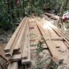 Diduga ilegal logging tetap marak dihutan Lae Pondom Simpang Silalahi Sabungan, APH diharapkan bertindak Diduga ilegal logging tetap marak dihutan Lae Pondom Simpang Silalahi Sabungan, APH diharapkan bertindak
