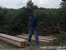 Dugaan pembalakan liar di Hutan Lindung Desa Perjuangan Sumbul Pegagan tetap marak