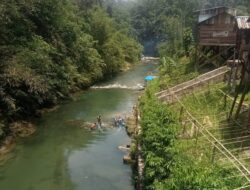 Pemerintah dan Aparat hukum tutup Mata terhadap PETI