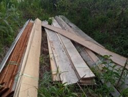 Viralnya RS Yang Diduga Pemain Ilegal Logging, Istri Buat Satement mengada – ngada Di Salah Satu Media Online