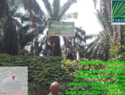 JM Humas PT KTBM, Patria Dharma, tidak ada penghadangan dalam proses pemasangan patok HGU, masyarakat hanya ingin melihat