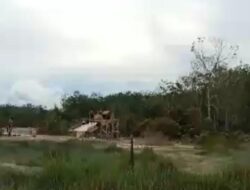 Tak Ada Rasa Takut, Aktivitas PETI Di Desa Gunung Kesiangan Kembali Beroperasi