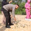 Kapolres Kuansing Pimpin Penanaman Pohon Dalam Rangka Peringatan Hari Bhayangkara ke-78 Tahun 2024 Kapolres Kuansing Pimpin Penanaman Pohon Dalam Rangka Peringatan Hari Bhayangkara ke-78 Tahun 2024
