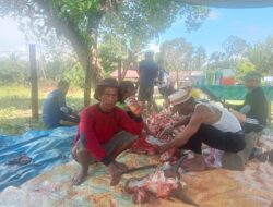 Panitia Qurban Masjid Ubudiyah Pulau Busuk Jaya Potong 5 Hewan Qurban