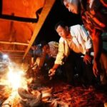 Bupati Kuansing Layur Jalur Ular Putiah Linggo Biso Desa Pulau Kulur