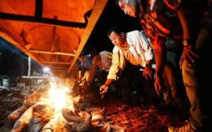 Bupati Kuansing Layur Jalur Ular Putiah Linggo Biso Desa Pulau Kulur