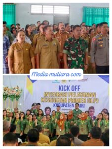 Integrasi pelayanan kesehatan primer (Ilp)