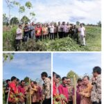 Pemkab Dairi Terima Tanah Hibah 1,5 Hektar dari Keturunan M Taksir Ujung, Diperuntukkan untuk Pembangunan Sekolah Pemkab Dairi Terima Tanah Hibah 1,5 Hektar dari Keturunan M Taksir Ujung, Diperuntukkan untuk Pembangunan Sekolah