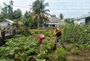 BABINSA KORAMIL 06/CERENTI KODIM 0302/INHU, BANTU BERSIHKAN KEBUN SINGKONG DAN SAYURAN MILIK WARGA