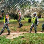 BABINSA KORAMIL 06/CERENTI KODIM 0302/INHU LAKSANAKAN SOSIALISASI DAN PATROLI CEGAH KEBAKARAN HUTAN DAN LAHAN BABINSA KORAMIL 06/CERENTI KODIM 0302/INHU LAKSANAKAN SOSIALISASI DAN PATROLI CEGAH KEBAKARAN HUTAN DAN LAHAN