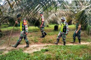 BABINSA KORAMIL 06/CERENTI KODIM 0302/INHU LAKSANAKAN SOSIALISASI DAN PATROLI CEGAH KEBAKARAN HUTAN DAN LAHAN