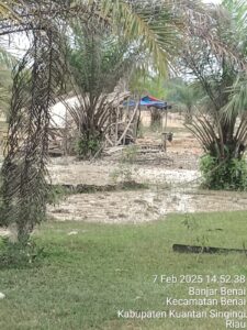 Waw !!! Penambang Emas Tanpa Izin (PETI) Di Desa Gunung Kesiangan kecamatan Benai kembali Marak