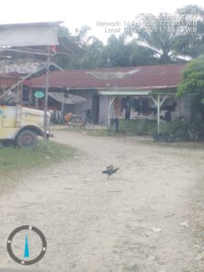 Tempat Pemurnian Emas Tumbuh Subur Di Desa Logas Kecamatan Singingi