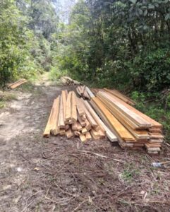Perambahan hutan akan dilaporkan ke dinas terkait dan ke aparat penegak hukum