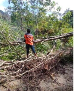 Kadis BPBD bersama personil Gerak Cepat Tanggap Pohon Tumbang di Lagan – Pagindar