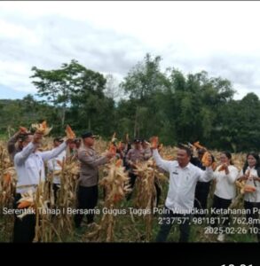 Sekda Pakpak Bharat hadiri panen raya jagung