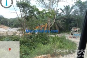 Penambangan Emas Ilegal di Kebun Karet Pemda Kuansing: PAD Terancam, Gopa Selaku pihak ketiga Tak Tau Menau, siapa bertanggungjawab????