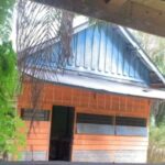 Wah, ada kabar mengejutkan dari Desa Sumber Datar, Kecamatan Singingi