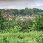 Jeritan Tanah Cerenti, Ratusan Rakit Penjarah Emas Bebas Berkeliaran, Ke Mana Mata dan Tangan Keadilan?