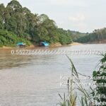 Tak Pernah Lelah, 4 Unit Rakit Dompeng Masih Terus Beraktivitas di Sungai Batang Kuantan Desa Pulau Aro