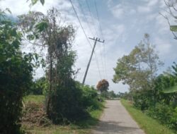 Miris Tiang PLN Hampir Tumbang di Dairi, Warga Dibiarkan Hidup dalam Ketakutan