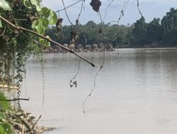 Sungai Batang Kuantan Menangis Puluhan Dompeng Liar Merajalela, Hukum Mandul