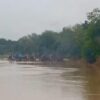 Marak 50 Rakit PETI Ilegal Beroperasi Bebas di Pulau Sipan Inuman