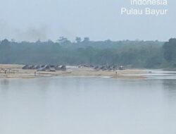 Aktivitas PETI di Sungai Batang Kuantan Semakin Merajalela, Warga Minta Kapolres Turun Tangan