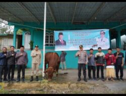 Bupati serahkan Hewan Qurban Presiden RI ke desa Maholida