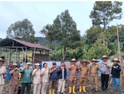 Penanaman jagung  perdana oleh BUMDES Desa Tinada