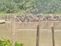 Sungai Batang Kuantan Sekarat, Puluhan Rakit PETI Kembali ‘Berpesta’, Warga Resah Menanti Tindakan Tegas
