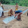 BUMDES Desa Simervara Kecamatan PGGS laksanakan penanaman perdana tanaman Cabai BUMDES Desa Simervara Kecamatan PGGS laksanakan penanaman perdana tanaman Cabai