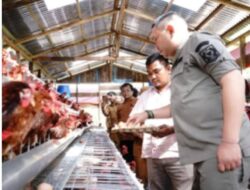 Bupati kunjungi BUMDes Arih Mersanda Desa Penanggalan Binanga boang