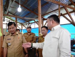 Bupati Pakpak Bharat tinjau peternakan ayam milik BUMDes Dlleng Lumut