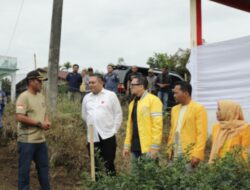 Satpol PP manfaatkan lahan kosong di samping kantor
