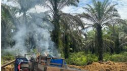 Polsek Singingi Tanggapi Isu Puluhan Rakit PETI di Kebun Lado, Ternyata Hanya Dua Rakit Usang