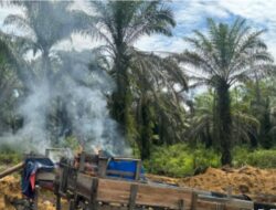 Polsek Singingi Tanggapi Isu Puluhan Rakit PETI di Kebun Lado, Ternyata Hanya Dua Rakit Usang