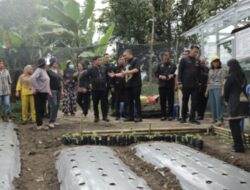 Bupati Pakpak Bharat tinjau kebun B2SA ibu-ibu PKK Kecamatan STTU Julu