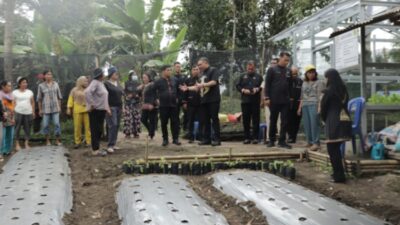 Bupati Pakpak Bharat tinjau kebun B2SA ibu-ibu PKK Kecamatan STTU Julu