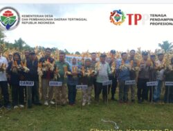 Panen Perdana Jagung Pipil di Kuansing: Desa Ujung Tanjung Sukses Realisasikan Program Ketahanan Pangan
