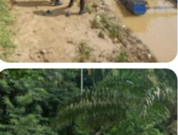 Polsek Cerenti Respon Cepat Informasi Media dan Himbauan Persuasif ke Pelaku PETI