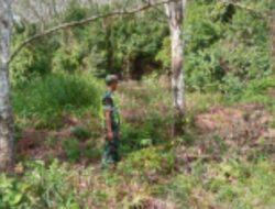 Waspada Kebakaran, Babinsa Koramil 02/KT Lakukan Patroli Karhutla di Wilayah Binaan
