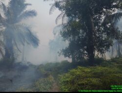 Lahan Sawit 30 Hektar di Sei Langsat Ludes Terbakar, Api Masih Berkobar