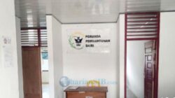 Dugaan Mark-Up Anggaran PERUMDA Dairi, Dana Besar Terserap untuk Bibit Lele Bibit Bebek hingga Daun Ubi