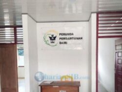 Dugaan Mark-Up Anggaran PERUMDA Dairi, Dana Besar Terserap untuk Bibit Lele Bibit Bebek hingga Daun Ubi