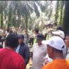 Sengketa Lahan di Kuansing, PT Wanasari Klaim Operasional Sah di Atas HGU, Bantah Tudingan Perusakan
